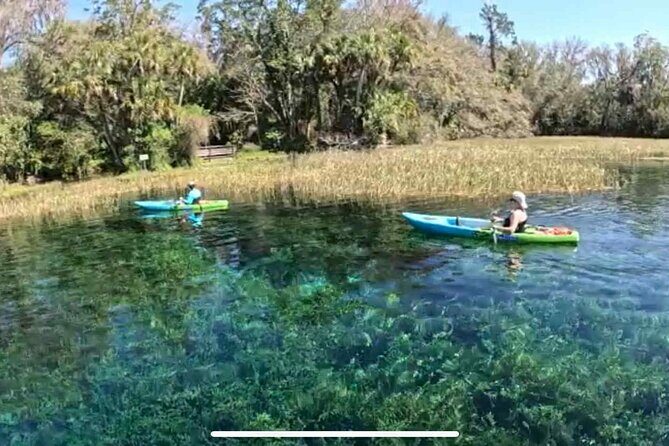 Rainbow River: 8AM & 3PM Snorkel or Scenic Wildlife Cruise - Practical Details: What You Should Know