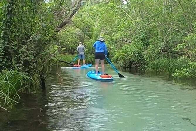 Rainbow River: 8AM & 3PM Snorkel or Scenic Wildlife Cruise - FAQs