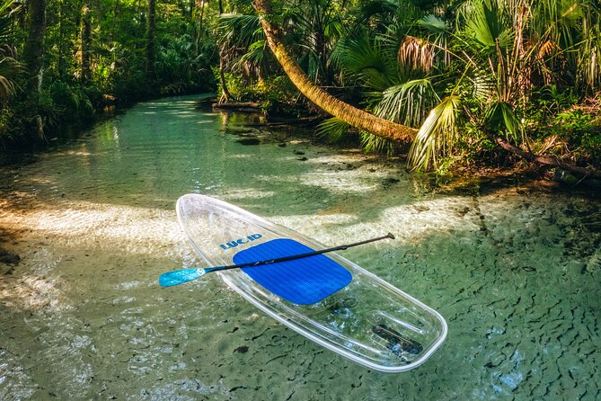 Rainbow Springs: Clear Kayak Eco Tour - Traveler Reviews