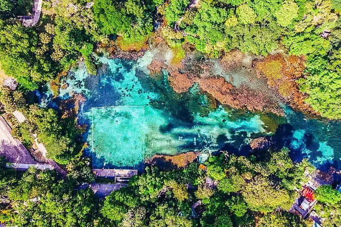 Rainbow Springs: Clear Kayak Eco Tour - Pricing and Packages