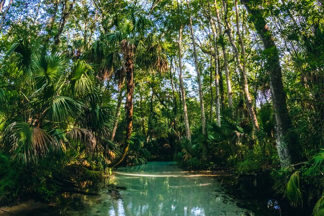 Rainbow Springs: Clear Kayak Eco Tour - Terms and Conditions