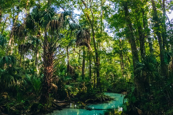 Rainbow Springs: Clear Kayak Eco Tour - Common Questions