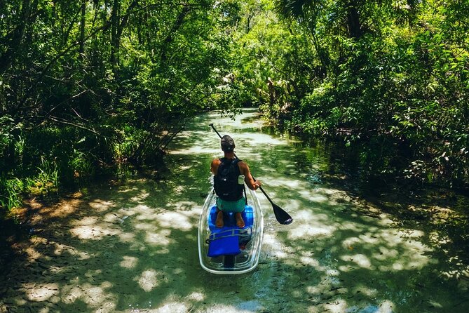 Rainbow Springs: Clear Kayak Eco Tour - The Sum Up