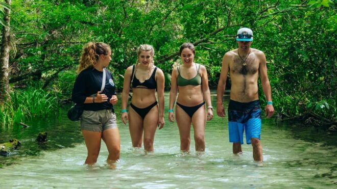 Rainbow Springs: Clear Kayak & Snorkel Tour - Kayak and Equipment