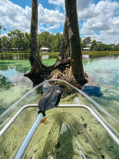 Rainbow Springs: Clear Kayak & Snorkel Tour - Frequently Asked Questions