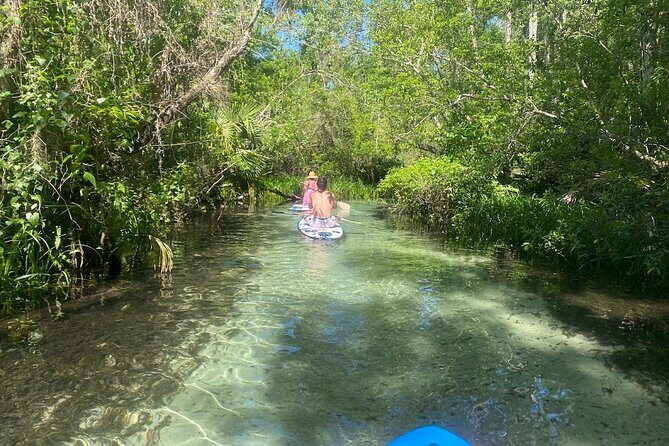 Rainbow Springs Electric Paddle Board Rentals - FAQ