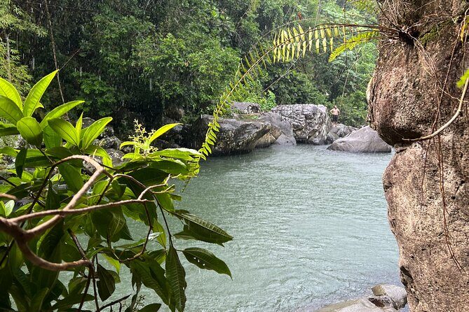 Rainforest Adventure All inclusive Food and Fotos - Who Will Love This Tour?