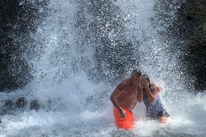 Rainforest and Beach Tour of Puerto Rico - Learn About Local Culture and Heritage