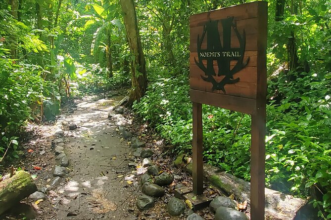 Rainforest and Junglequi Zipline Combo Tour - Tour Duration