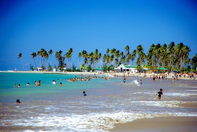 Rainforest and Luquillo Beach Plus Biobay Kayak Tour - Tour Highlights