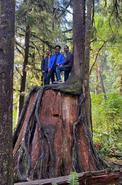 Rainforest and Olympic National Park Highlights - Unlocking the Magic of Olympic National Park — Rainforest and Coastal Highlights Review