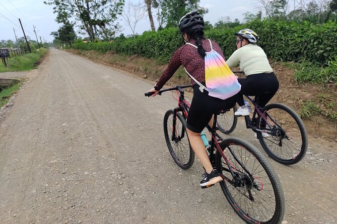 Rainforest Bike Tour in La Fortuna - Meeting Point and End Point
