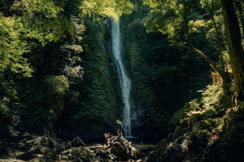 Rainforest Bird Photography Trek in Kitulgala - Initial Impressions
