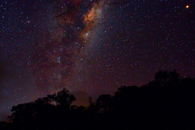Rainforest Camping in Kudremukh National Park - Good To Know