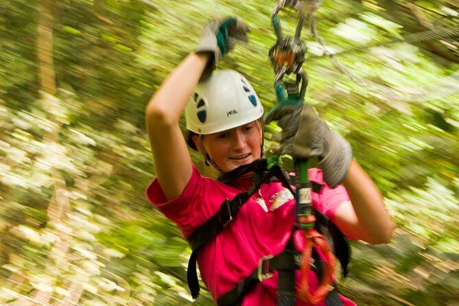 Rainforest Canopy Adventure from Vieux Fort or North Island, St Lucia - What to Expect From the Rainforest Canopy Adventure