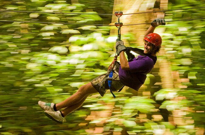 Rainforest Canopy Adventure from Vieux Fort or North Island, St Lucia - Who Will Enjoy This Tour?