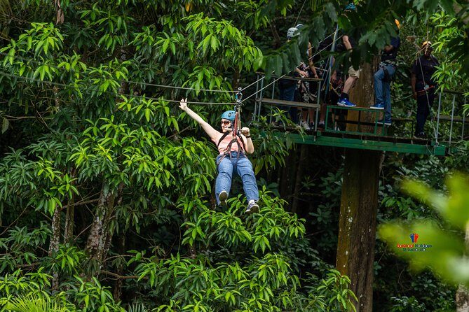 Rainforest Canopy Adventure from Vieux Fort or North Island, St Lucia - Final Thoughts