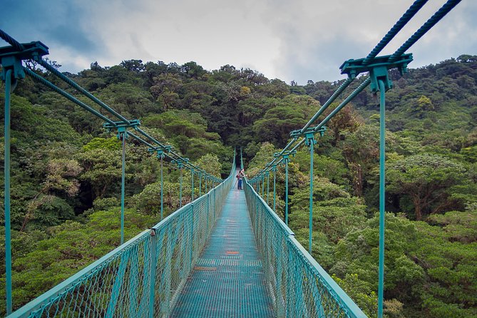 Rainforest Canopy Zipline & Hanging Bridges Tour From Monteverde - Tour Inclusions