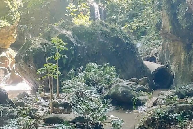 Rainforest Caves and Waterfalls Exploration With Transportation - Reviews: Highly Rated and Recommended