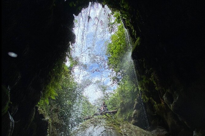 Rainforest Caves and Waterfalls Exploration With Transportation - Exciting Activities: Cliff Jumping and Rock Climbing