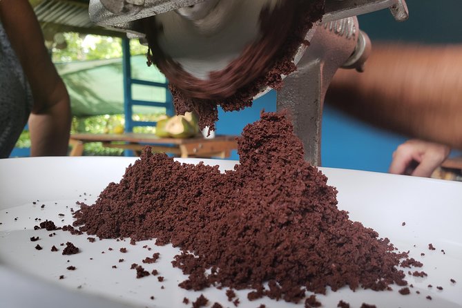 Rainforest Combo - Chocolate - Coffee - Sloths - Rio Celeste - Reviews and General Notes