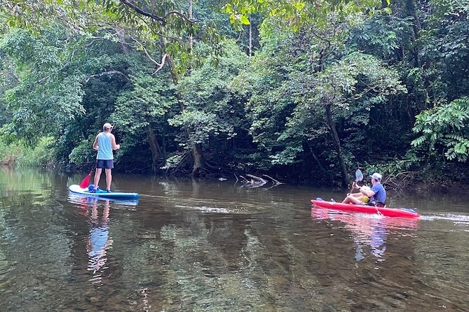 Rainforest Drift - FreshWater Rainforest - Traveler Photos