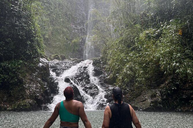 Rainforest Hike to Hidden Waterfall in Puerto Rico with Transport - What to Expect on the Day