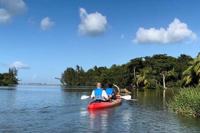 Rainforest Kayak Tour - Who Should Consider This Tour?