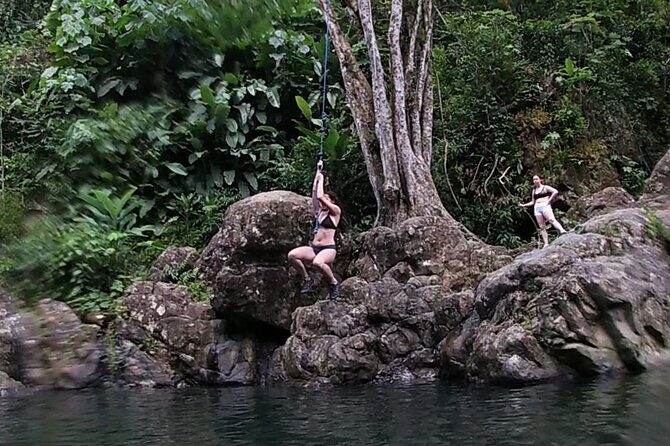 Rainforest River Hike and Waterfalls Adventure - The Value Proposition