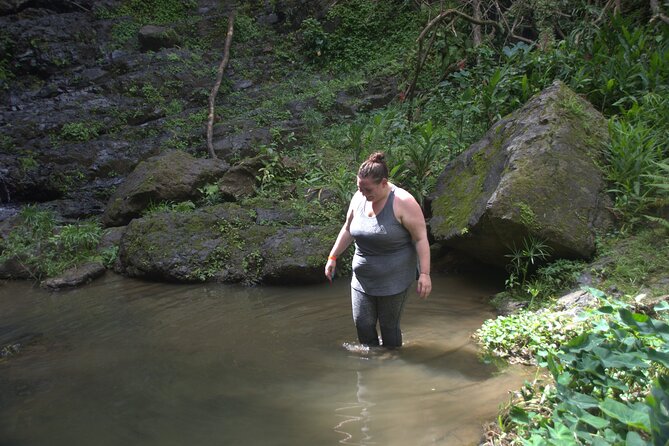 Rainforest Tour in San Juan Puerto Rico - Tour Highlights