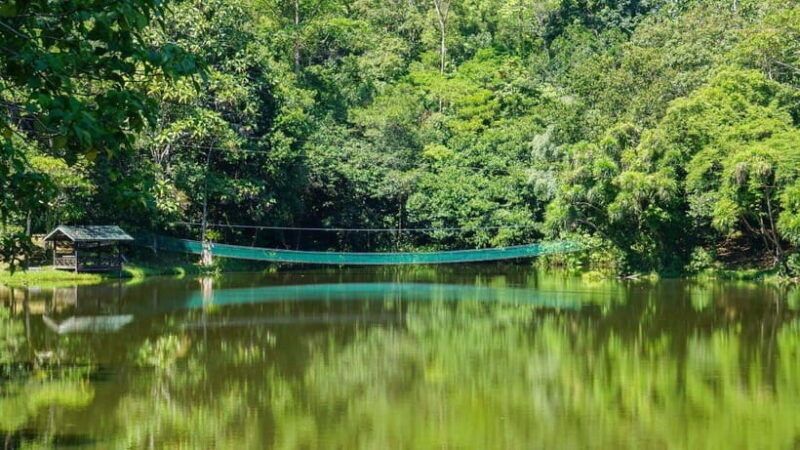 Rainforest Tour, Labuk Bay, Sun Bear & Sepilok | Sandakan - The Value of This Experience