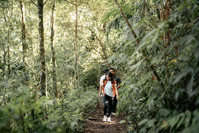 Rainforest Trekking, Tamblingan Lake Canoeing and Best Waterfall - Location Details