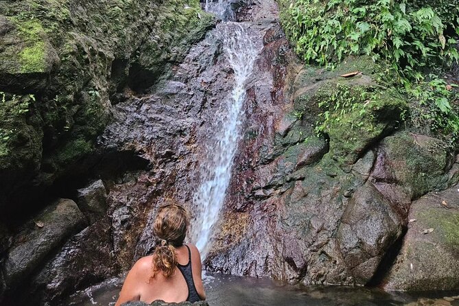 Rainforest Waterfall Hike With Rastafarian Nature Guide - Inclusions and Requirements