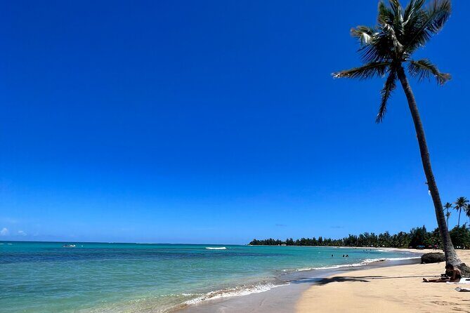 Rainforest Waterfall Slides/Adult Drinks included/ Beach - Exploring the Rainforest Waterfall Slides Tour in San Juan, Puerto Rico