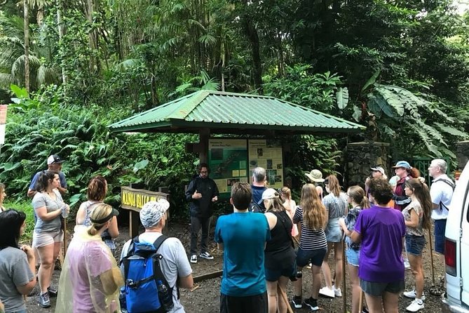 Rainforest Waterfall Trail and Shuttle Service - Shuttle Service Details