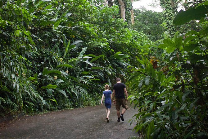 Rainforest Waterfall Trail and Shuttle Service - Traveler Photos and Reviews