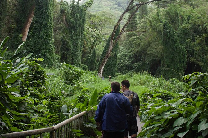 Rainforest Waterfall Trail and Shuttle Service - Directions for the Rainforest Waterfall Trail