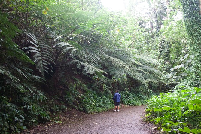 Rainforest Waterfall Trail and Shuttle Service - Common Questions