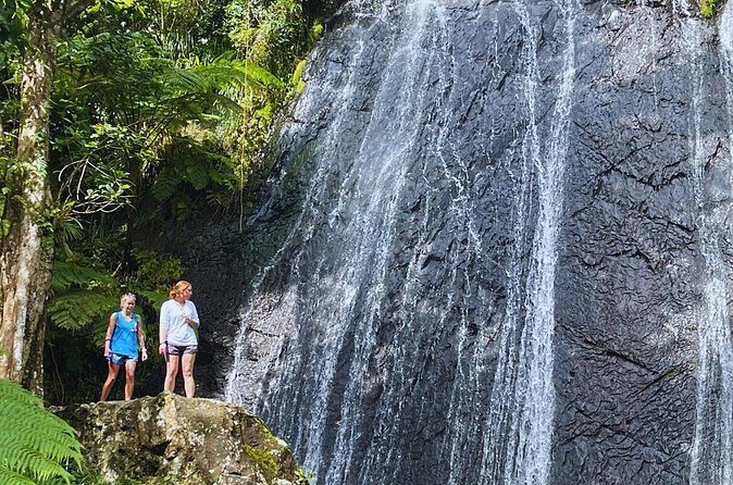 Rainforest Waterslide and Riverpool Beach Tour in Puerto Rico - Why This Tour Works