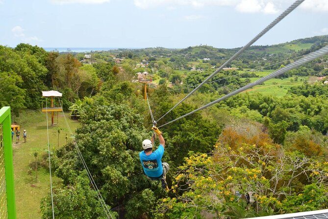 Rainforest Zipline in Foothills of the National Rainforest - Good To Know