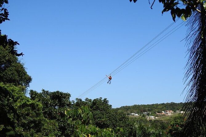 Rainforest Zipline in Foothills of the National Rainforest - FAQs