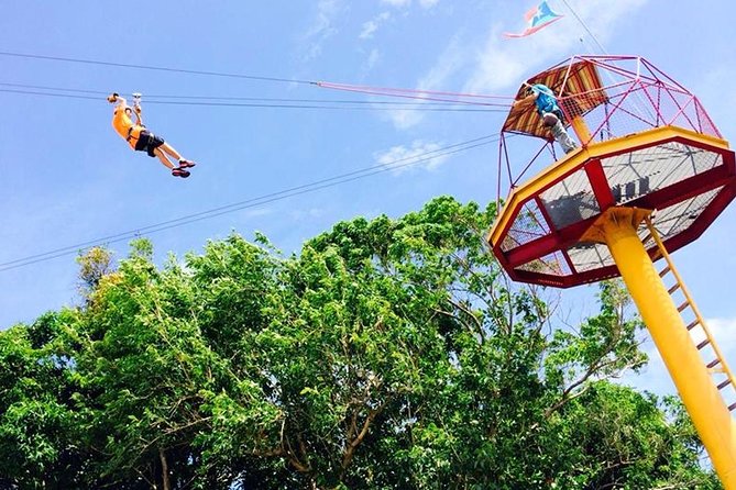 Rainforest Zipline in the El Yunque Foothills - Good To Know