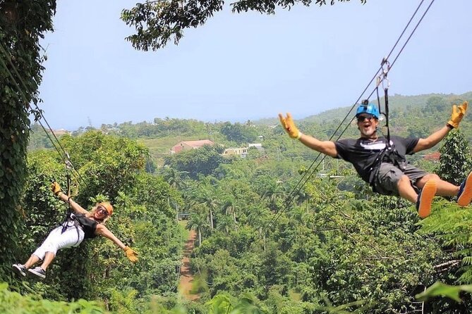Rainforest Zipline in the El Yunque Foothills - Ziplining Adventure in the Rainforest Canopy