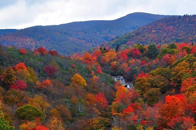 Rainforests and Waterfalls of Western NC - Final Thoughts