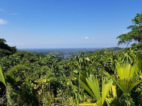 Rainmaker Waterfalls and Hanging Bridges From Manuel Antonio - Good To Know