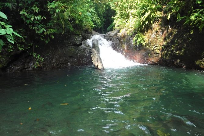 Rainmaker Waterfalls and Hanging Bridges From Manuel Antonio - Inclusions