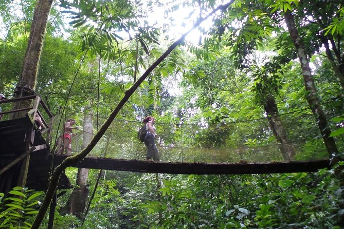 Rainmaker Waterfalls and Hanging Bridges From Manuel Antonio - The Sum Up