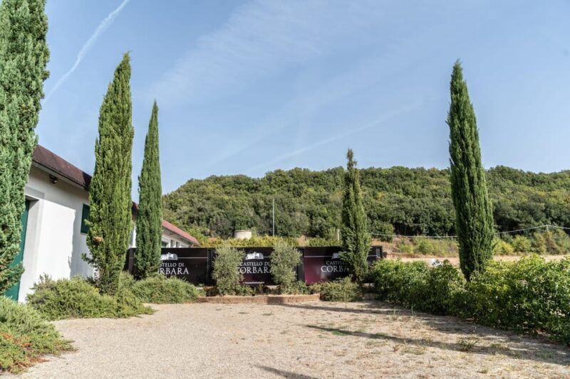 Raise a Glass: Exclusive Wine Experiences Near Orvieto - FAQ