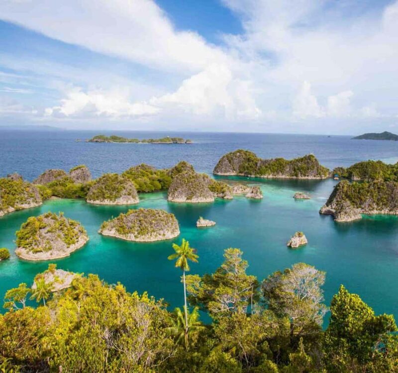 Raja Ampat Tour 14 Days  Explore Papuas Ocean Paradise - Authentic Feedback from Travelers