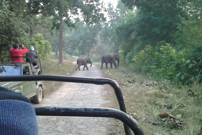 Rajaji National Park - Jeep Safari in Rishikesh - Inclusions and Services Provided